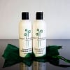 Desert Botanicals Propylene Glycoll Free Shampoo and Conditioner Set with complimentary beautiful green gift bag